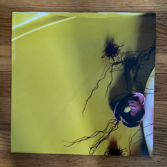 Album posters Harry Styles Fine Line and Sam Hunt Southside - Picture 4 of 5